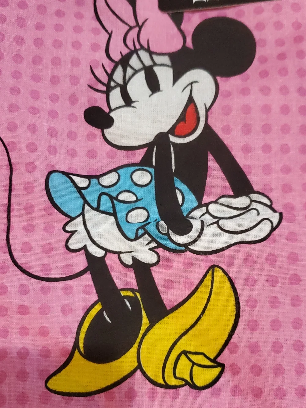Disney disney’s iconic